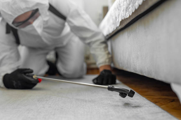 Professional Emergency Pest Control technician working in East Grand Forks, MN