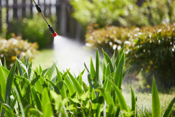 24/7 Emergency Emergency Pest Control experts in East Grand Forks, MN